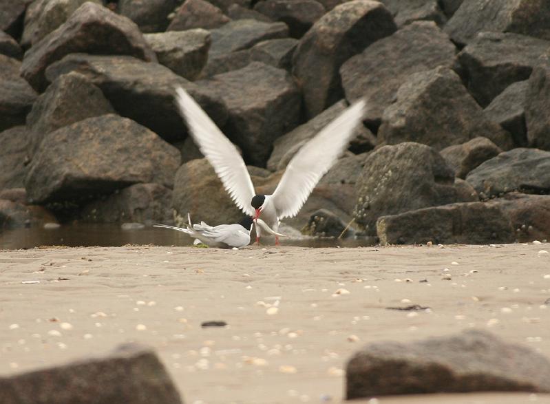 19_DP-2011-023 Bild0209c_A.JPG